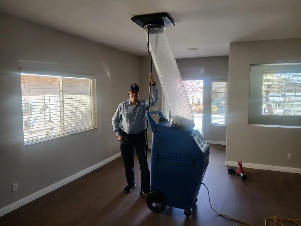 Professional Dryer Vent Cleaning work inside a Westmont home